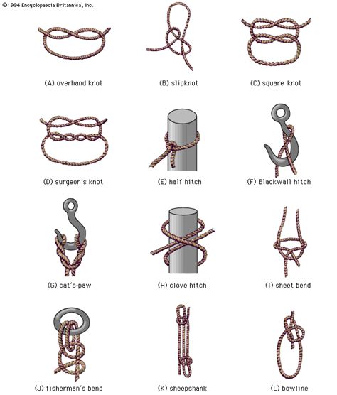 rope sex positions|Basic Knots